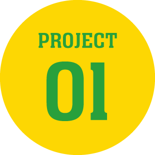 PROJECT01